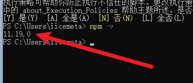 安装成功 - npm 版本输出