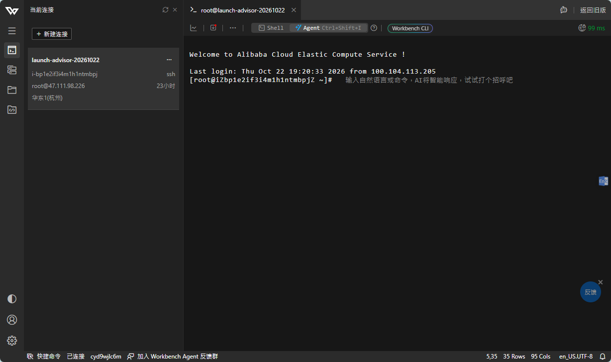 登录成功后的 Workbench 终端