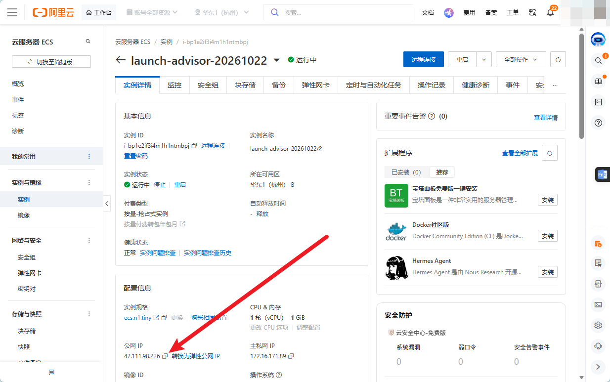 实例详情页里的公网 IP