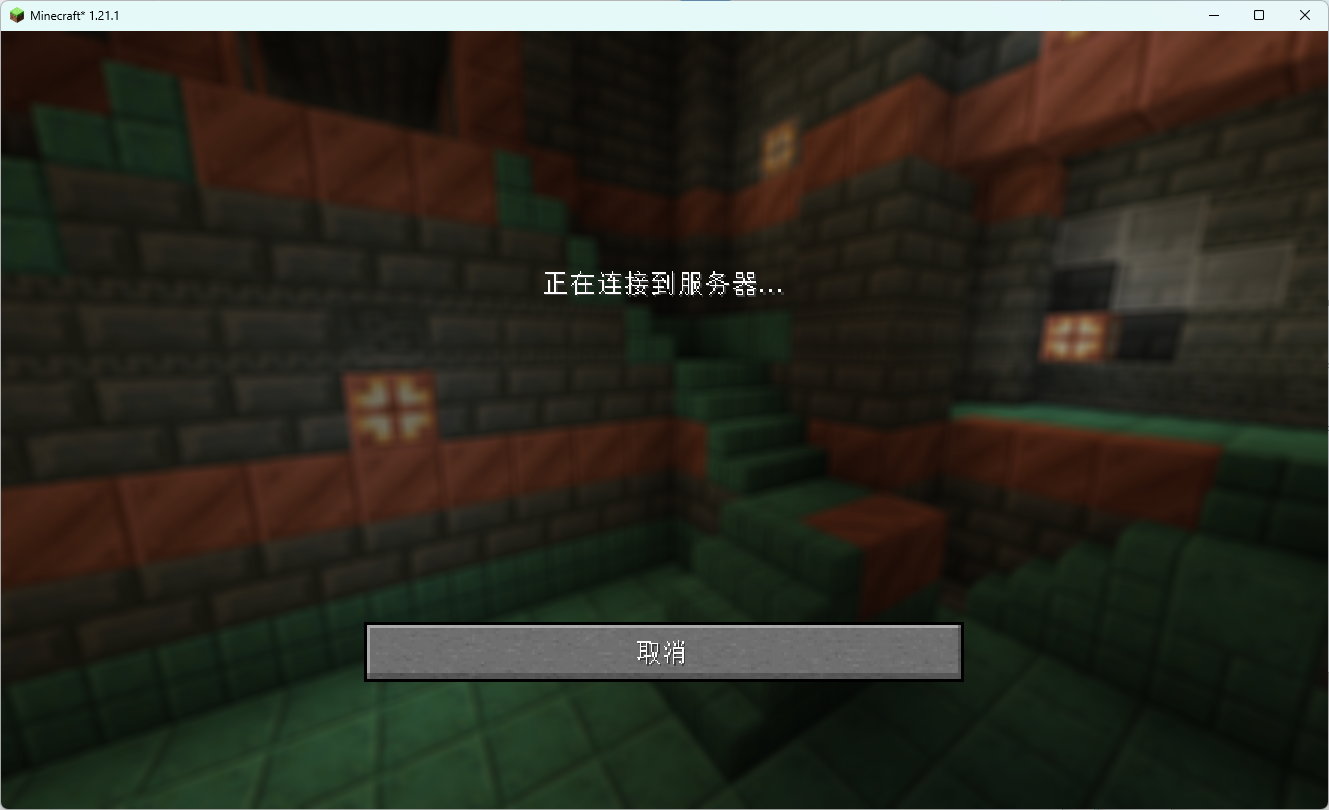 连接成功,进世界了