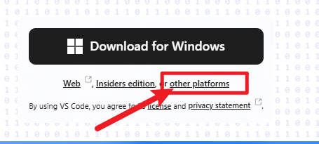 vscode主下载按钮